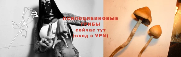 бошки Баксан