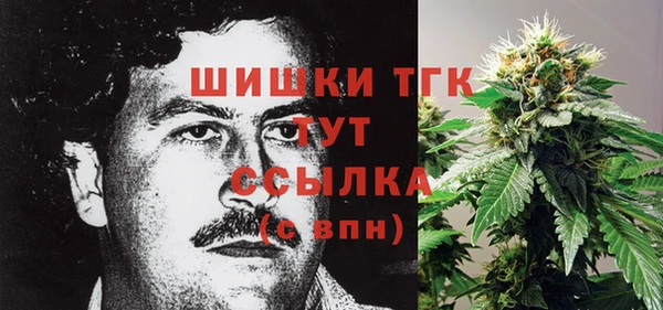 крисы Балахна
