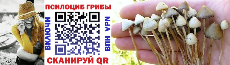 Галлюциногенные грибы Cubensis kraken вход Нелидово